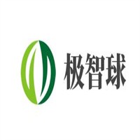 極智球右腦開發(fā)加盟