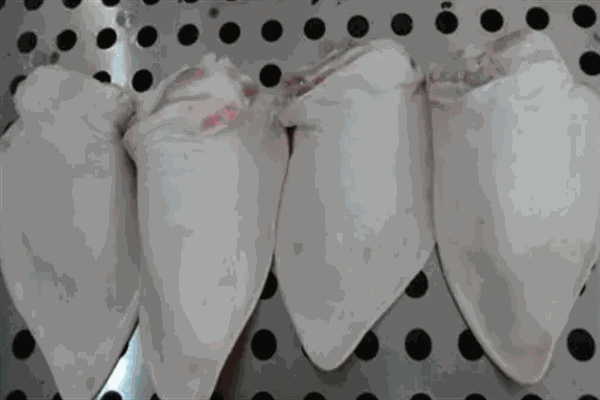 南大食品加盟
