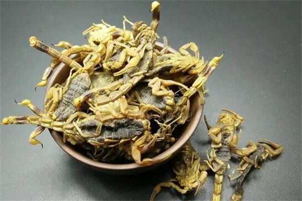 華農(nóng)藥王蝎加盟