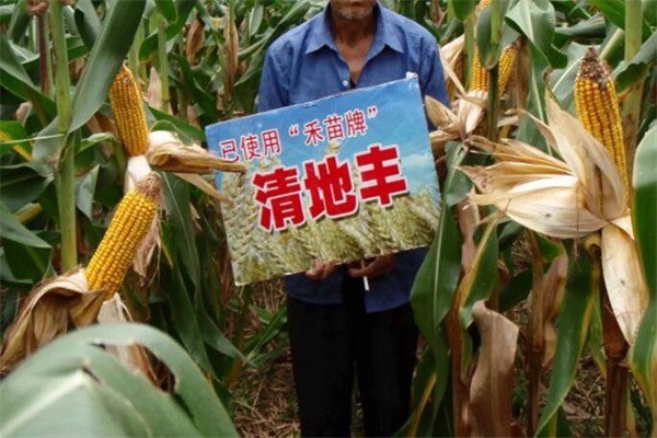 禾苗重茬劑加盟