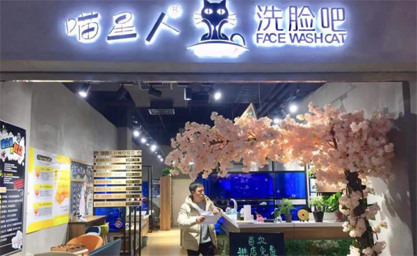 喵星人洗臉吧
