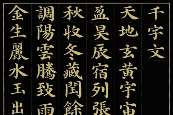 千字文定樁識字