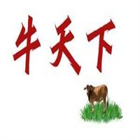 牛天下本地特色牛肉火鍋加盟