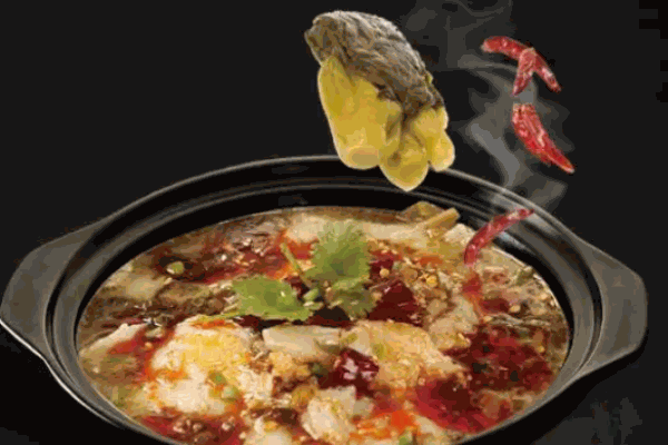 聰聰小缽魚(yú)
