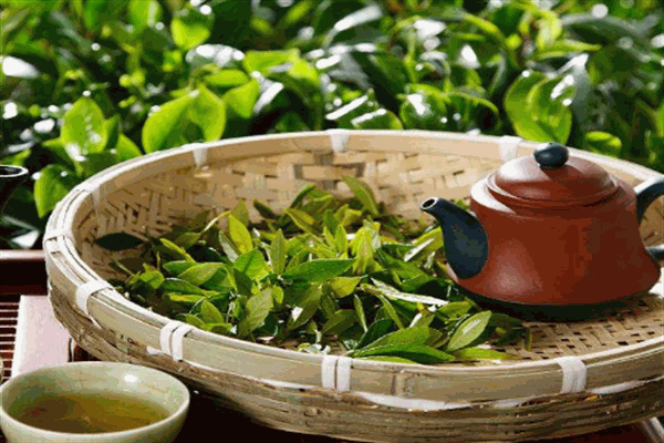 思道茶業(yè)加盟
