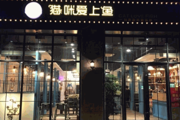 貓咪愛(ài)上魚(yú)餐飲