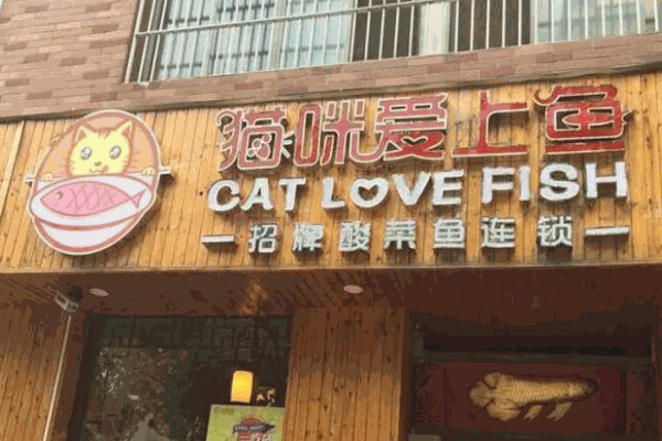 貓咪愛(ài)上魚(yú)餐飲