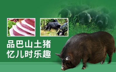巴山土豬加盟