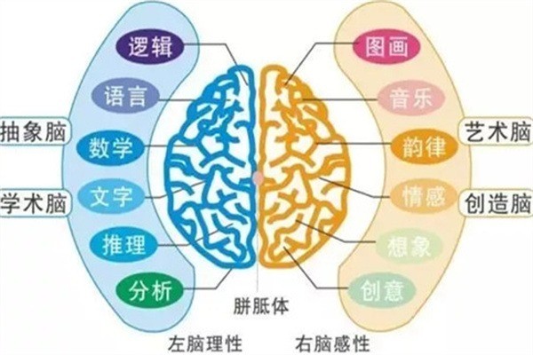 經緯大腦潛能培訓加盟