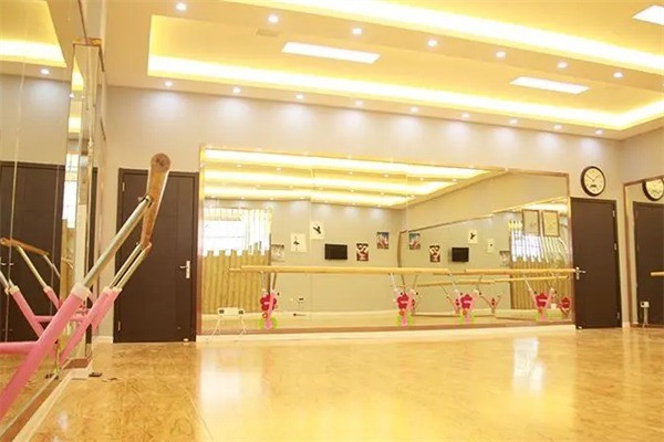 小花藝術(shù)培訓(xùn)機構(gòu)加盟