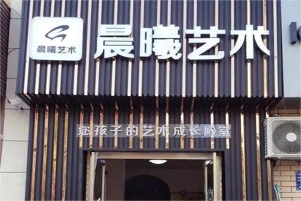 晨曦藝術(shù)教育加盟