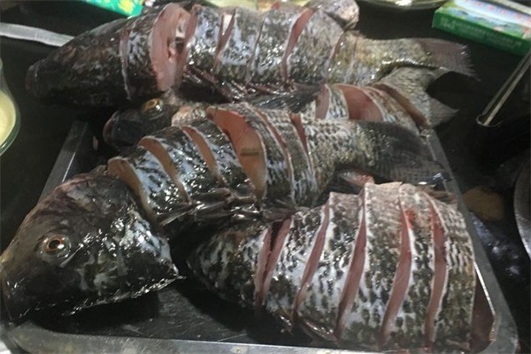 好辣道梭邊魚加盟