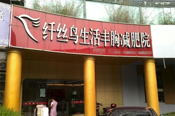 纖絲鳥(niǎo)減肥產(chǎn)品加盟