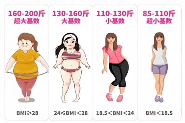 纖濟(jì)美減肥加盟