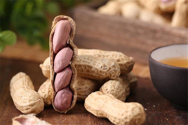 老阿爹花生加盟