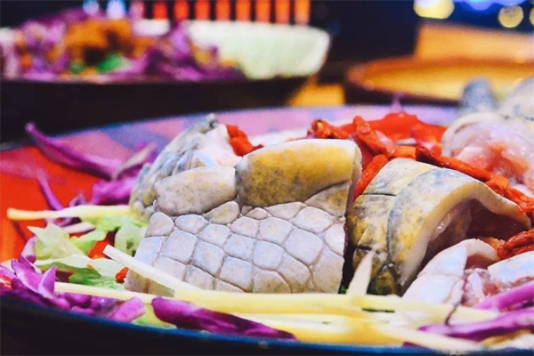 鱷魚火鍋店加盟