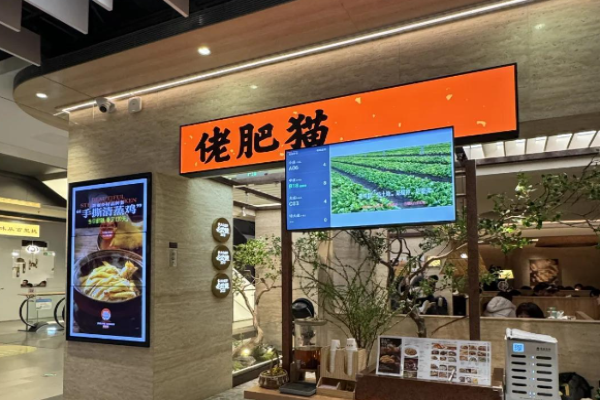 佬肥貓江浙菜加盟