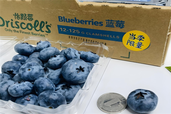 Driscoll's 怡顆莓加盟