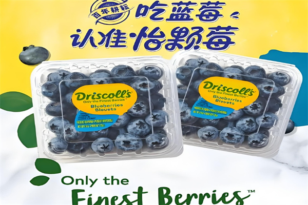 Driscoll's 怡顆莓加盟
