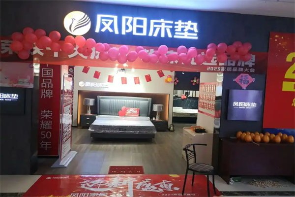 鳳陽(yáng)床墊加盟