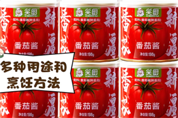 笑廚調(diào)料加盟