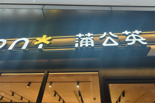 蒲公英5.5元休閑食品加盟