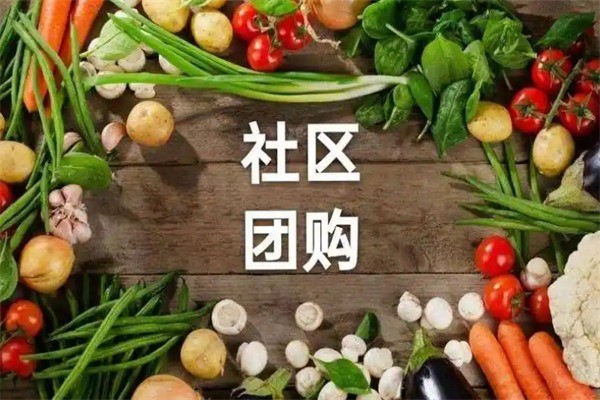 萊西團(tuán)團(tuán)團(tuán)團(tuán)購(gòu)加盟
