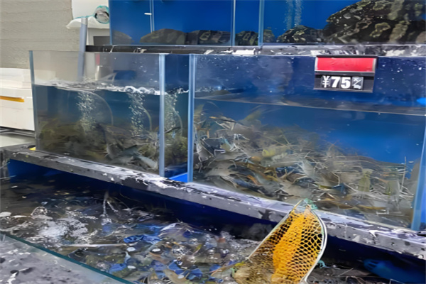 海鮮超市加盟店10大品牌：最新十大品牌值得收藏