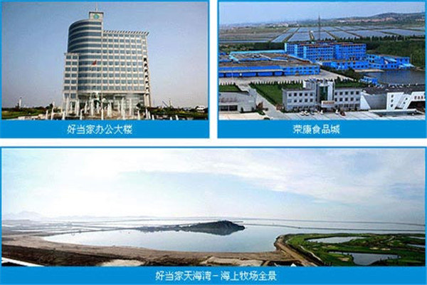 好當(dāng)家刺參加盟