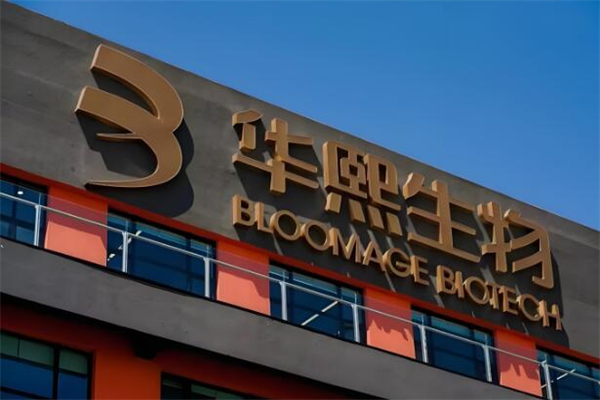 藥店加盟排行榜前十名有哪些品牌：財(cái)富金礦必看指南！