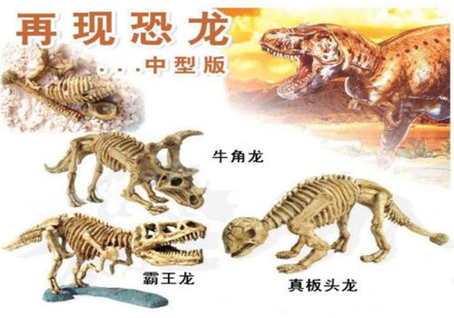 匹諾考古品牌圖片