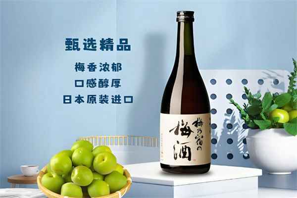 果酒加盟排行榜最新：獨(dú)家特色輕松致富