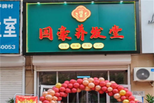 十大養(yǎng)發(fā)加盟品牌店有哪些：最具影響力品牌