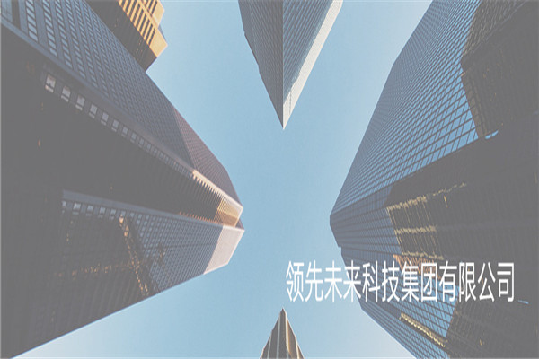 領(lǐng)先未來(lái)品牌圖片