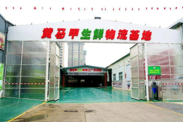 生鮮加盟店排行榜前十：熱門品牌大公開