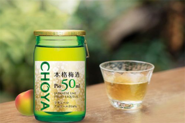 果酒加盟排行榜：十大高人氣品牌推薦