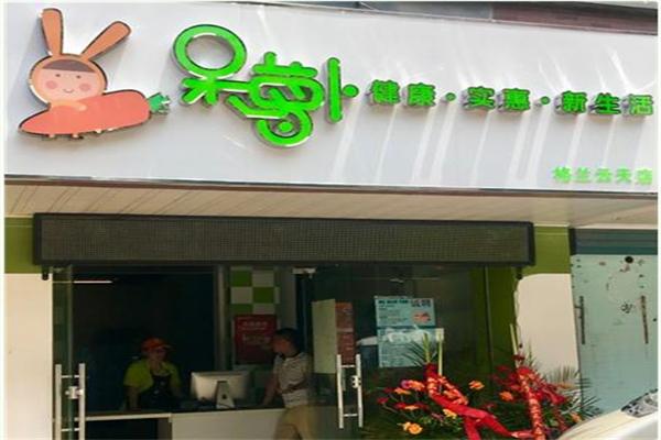 呆蘿卜品牌圖片