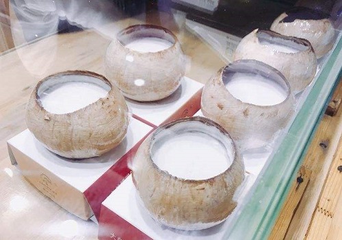 椰子下蛋