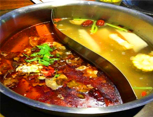 牛鮮到牛腩火鍋