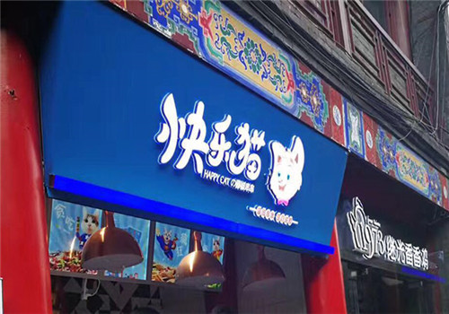 快樂貓?zhí)俳反? title=