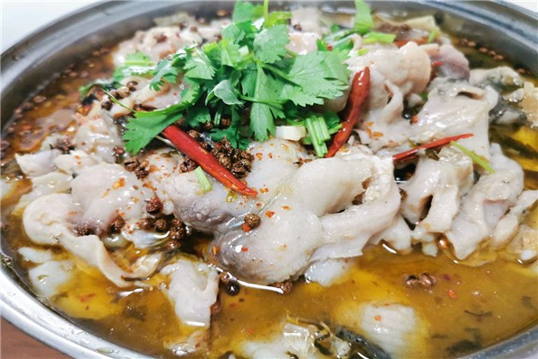 饞嘴貓酸菜魚