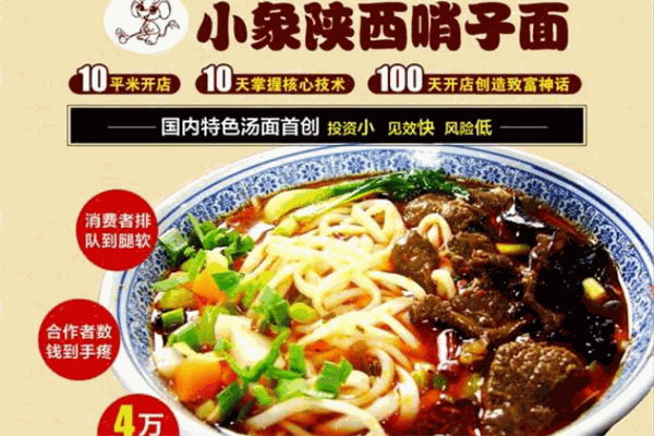 小象陜西哨子面加盟