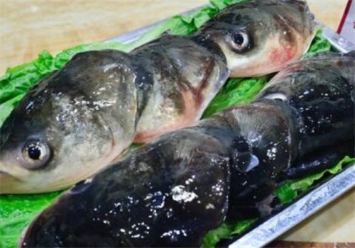 兵鍋魚頭加盟