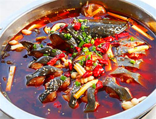 胖子魚頭魚火鍋加盟