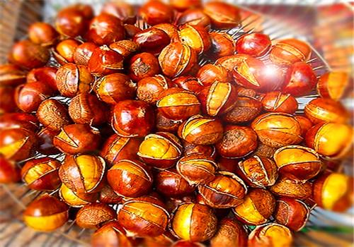 金東板栗多少錢嗎？經(jīng)營無壓力,創(chuàng)業(yè)門檻低