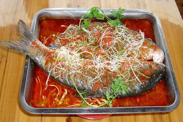 戀魚烤魚吧加盟