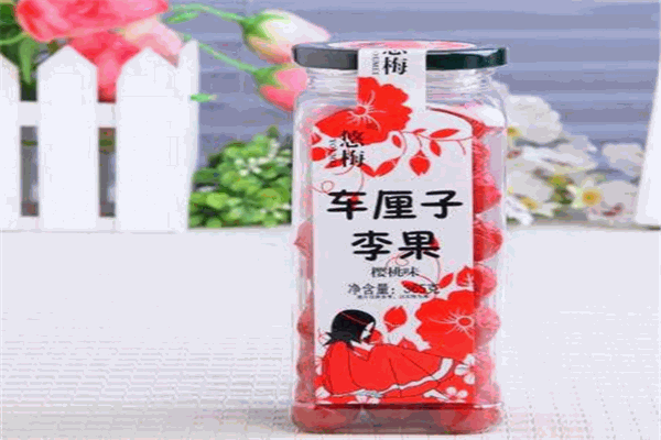 中國零食網(wǎng)加盟