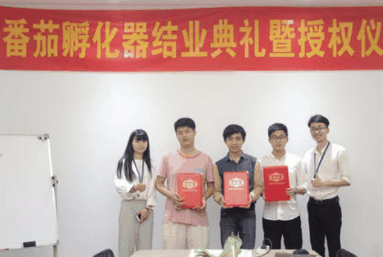 番茄孵化器