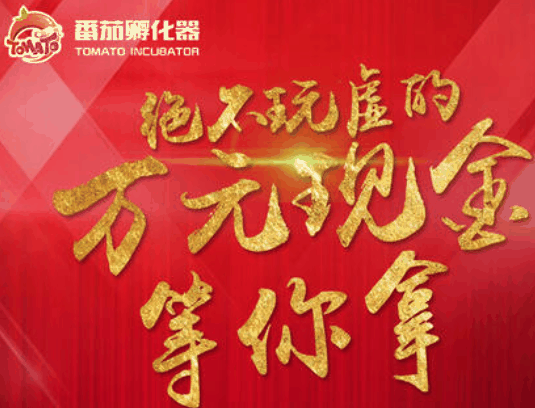 番茄孵化器