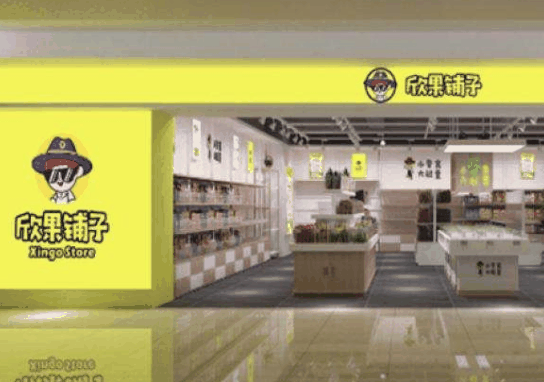 欣果鋪?zhàn)恿闶痴? title=